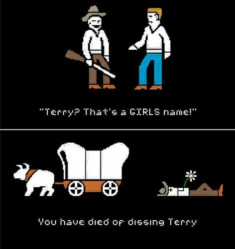 Dissing Terry