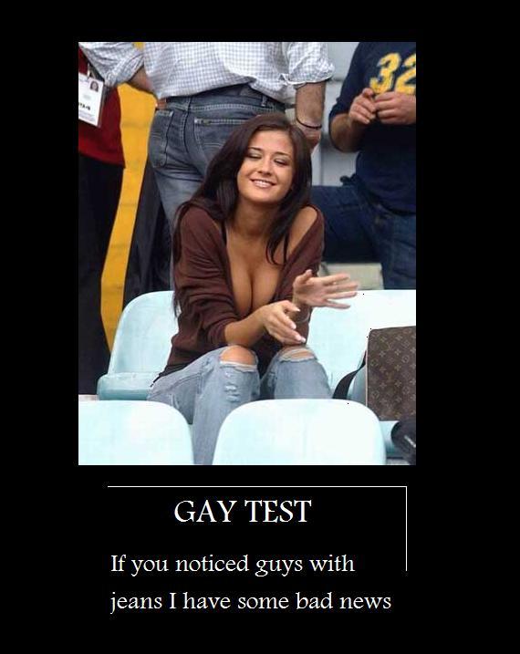 Gay Tests 88