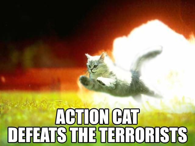 Action cat