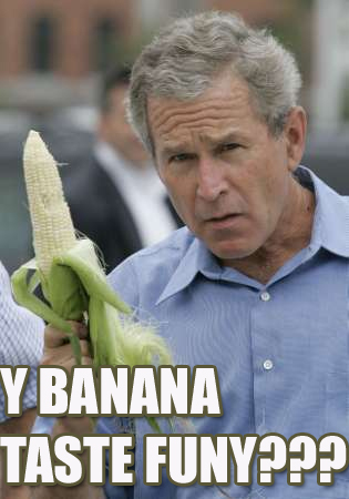 Bush banana