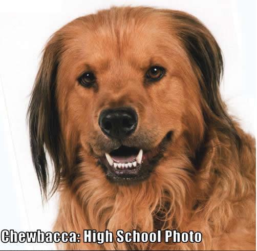 Chewbacca High School Photo