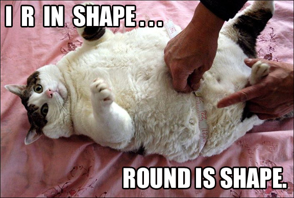 Round is shape