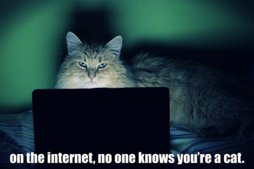 On the internet