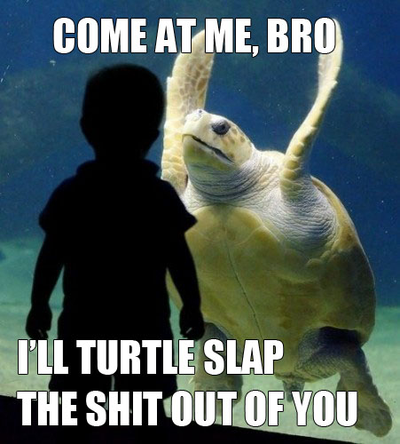 Turtle Slap