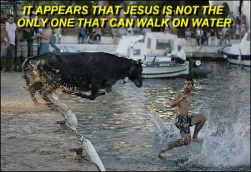 Walk on water