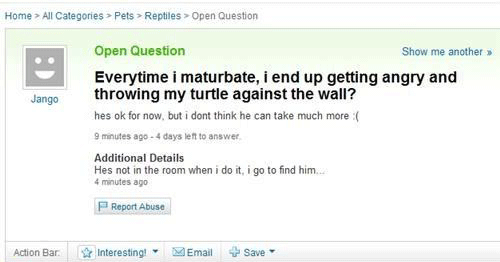 Turtle Question