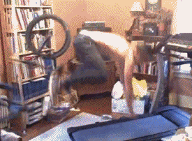 Bike on treadmill