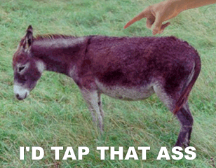 Tap that ass