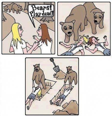 Bears! Play dead