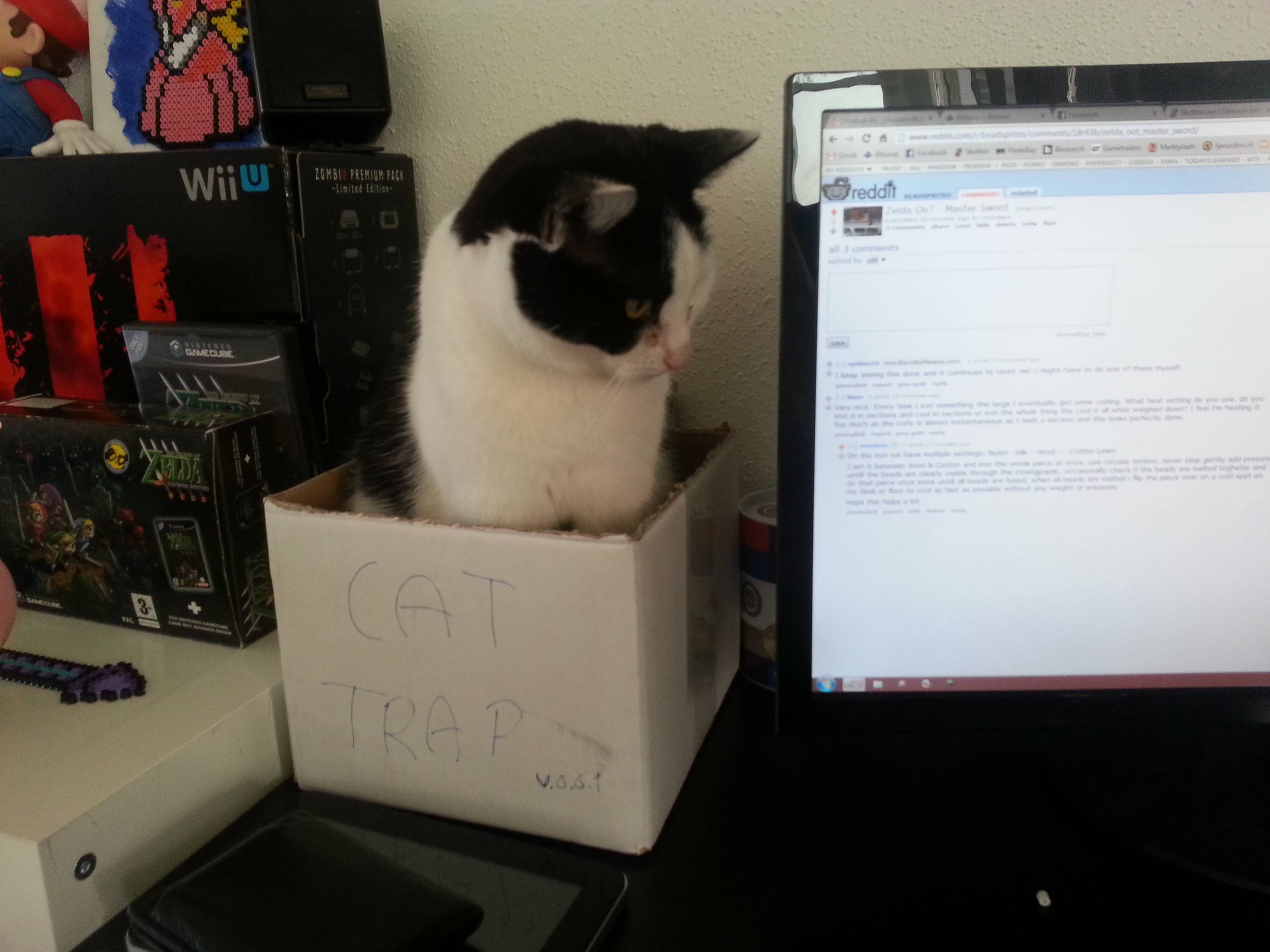 Cat Trap