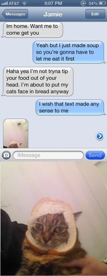 Cats and Bread