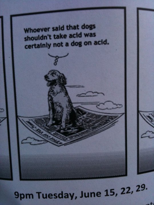 Dogs on acid