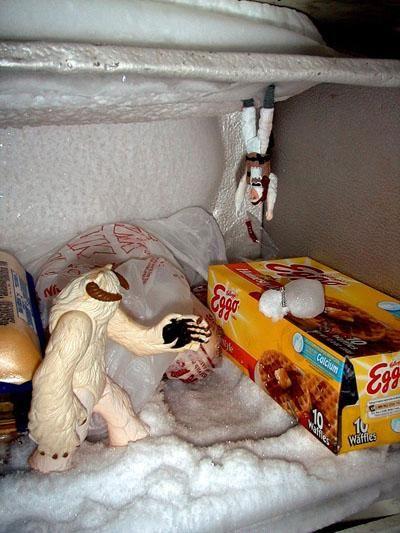 Hoth freezer
