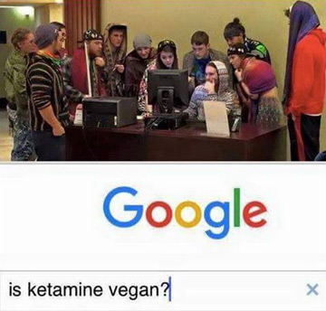 Is it vegan?