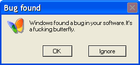 Windows bug found