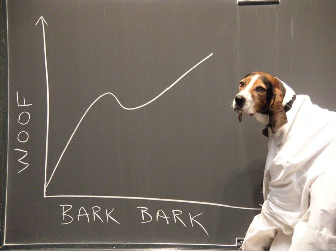 Woof Bark Chart