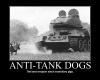 Anti tank dogs