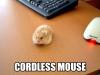 Cordless Mouse