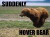 Hover Bear