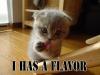 I has a flavour