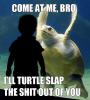 Turtle Slap