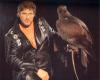 Hasselhoff and falcon