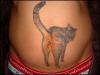 Cats bum tattoo