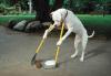 Self cleaning dog